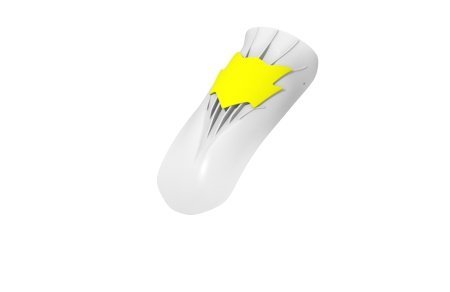 NASAU PANEL 2025 M11 2025 PERLE