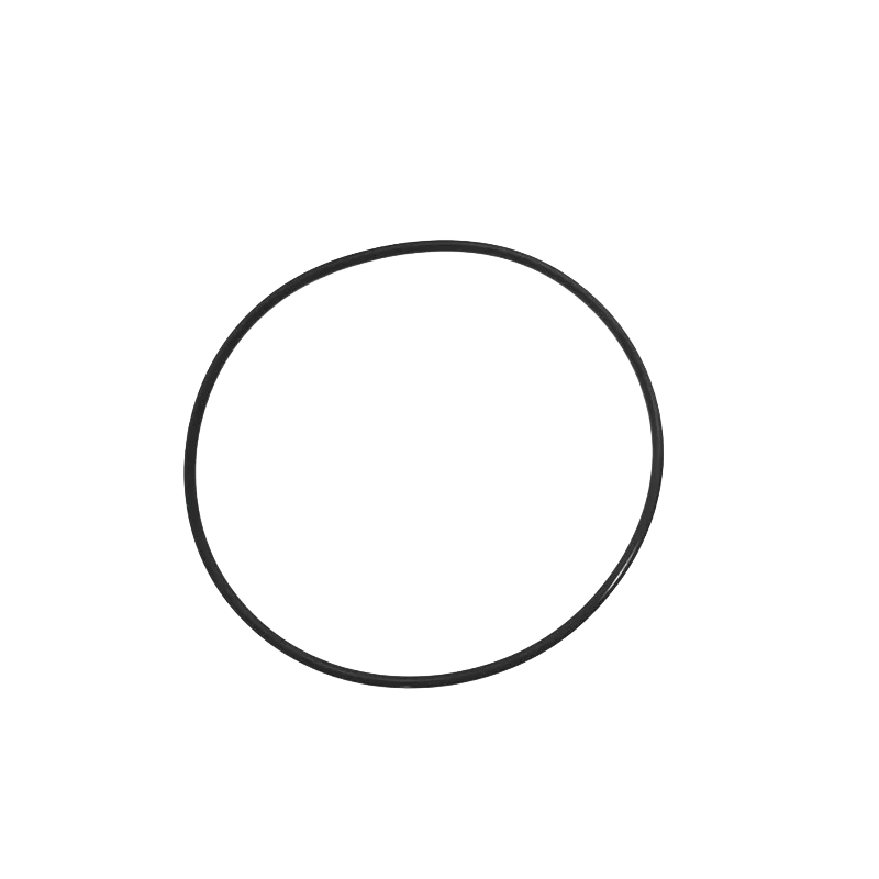 ELASTIQUE FIXATION